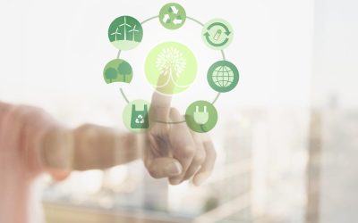 Building a Strong ESG Foundation for Modern Boards