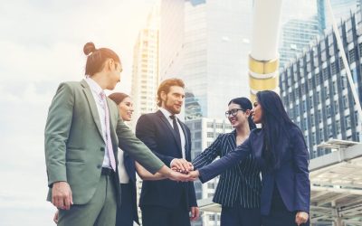 Building Strong Board Governance Systems for Accountability and Transparency