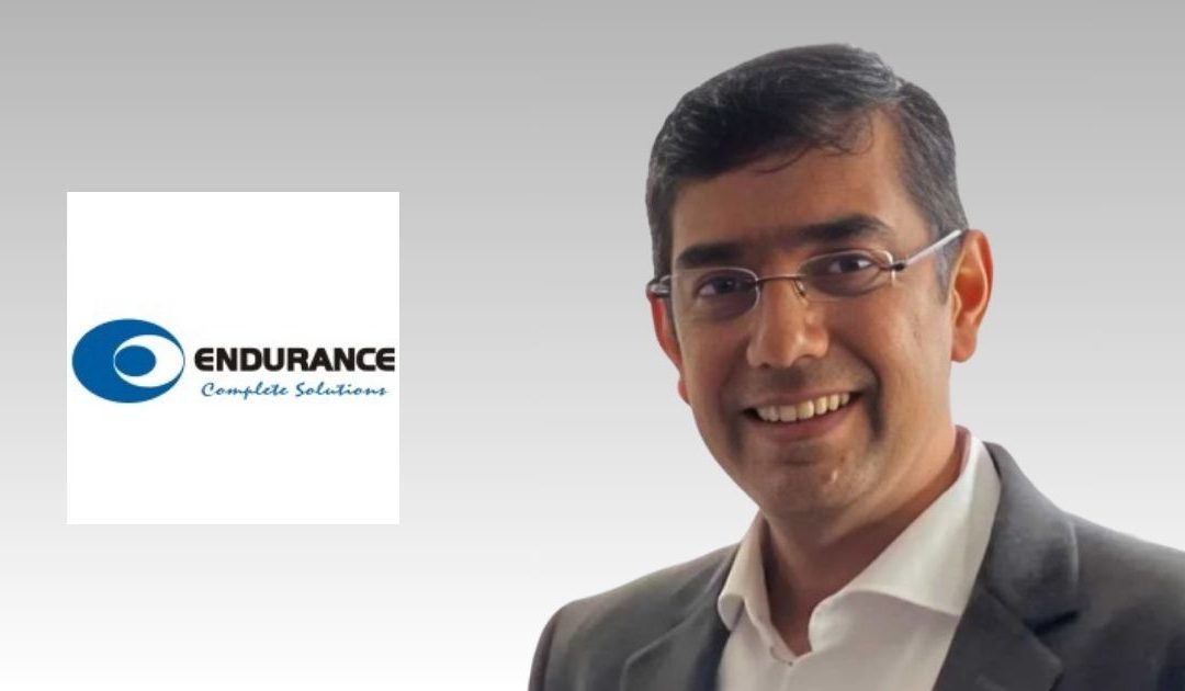 Ashish Nainawatee Named Chief Strategy Officer at Endurance Technologies Limited